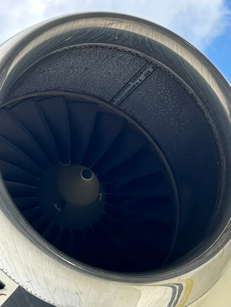 Engine inlet inspection